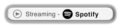Spotify - Streaming Portal